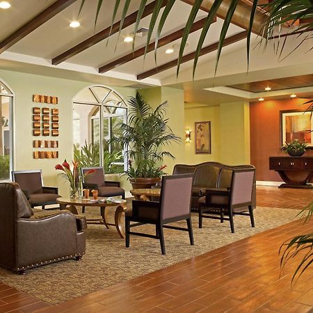 Palm Beach Shores Resort And Vacation Villas Nội địa bức ảnh